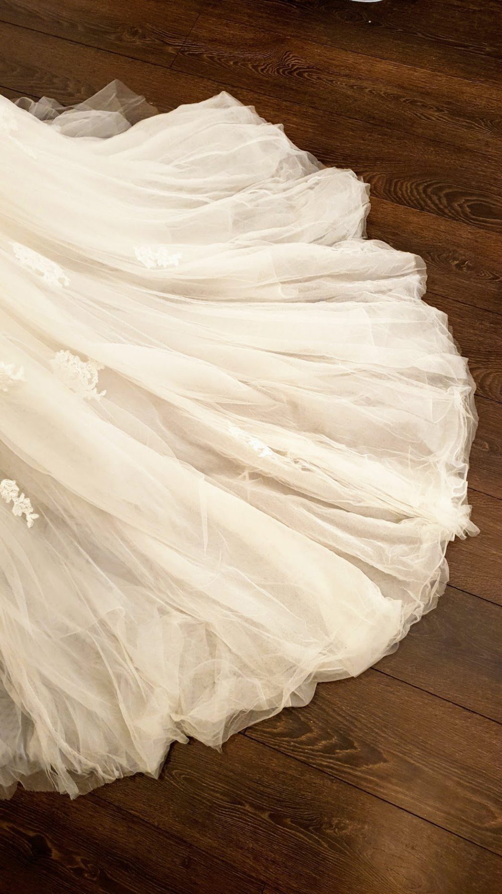 Smuk klassisk A-line brudekjole fra Pronovias med skønne blonder, hjerteudskæring og et slæb i tyl.